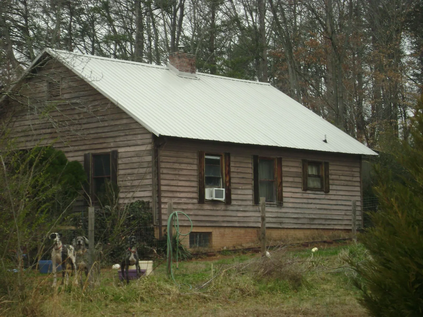 White metal roof on an old wood sided farmhouse, from a Asphalt Shingle Roof Repair job in Flagler